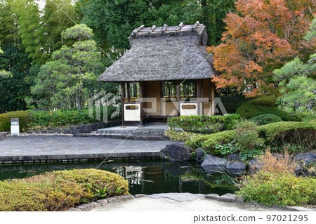 Autumn leaves in full bloom, Jozanen in autumn, Shisenkaku 97021295
