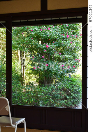 Autumn leaves in full bloom, Jozanen in autumn, Shisenkaku 97021345