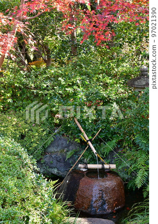 Autumn leaves in full bloom, Jozanen in autumn, Shisenkaku 97021390
