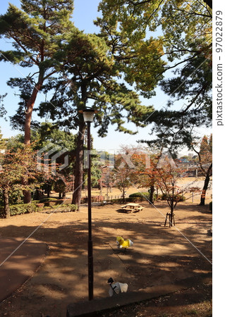 玉川台公園的秋葉 玉川台公園的秋葉 97022879