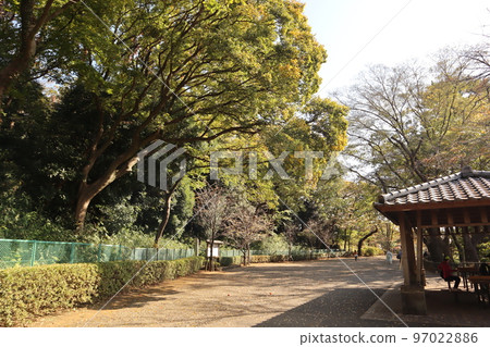玉川台公園的秋葉 玉川台公園的秋葉 97022886
