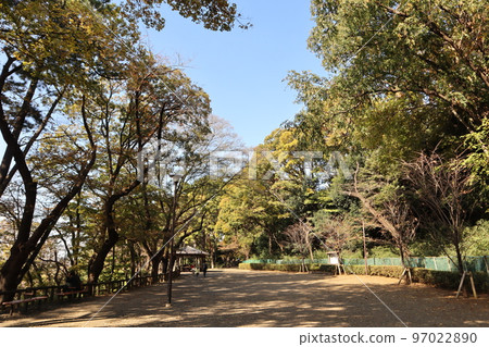 玉川台公園的秋葉 玉川台公園的秋葉 97022890