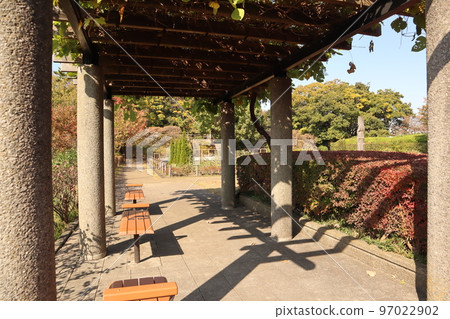 玉川台公園的秋葉 97022902