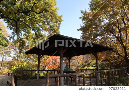 玉川台公園的秋葉 97022911