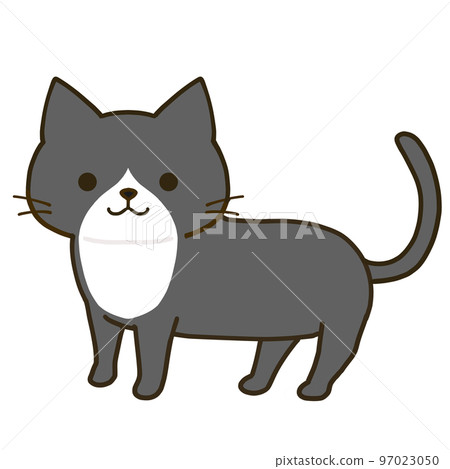 A simple black cat with a black coat standing A simple black cat with a black coat standing 97023050