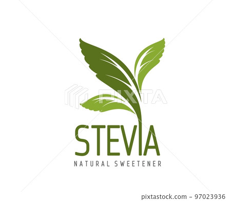 Stevia leaves icon, natural sweetener, organic sugar substitute and bio food product vector label. Sweet stevia plant branch with green leaves isolated symbol of herbal extract and food supplement 97023936