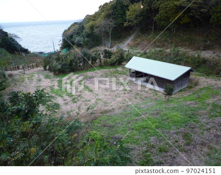常滑市隆冬的小湧公園 97024151