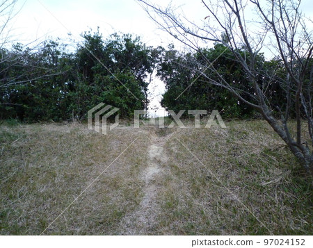 常滑市隆冬的小湧公園 97024152