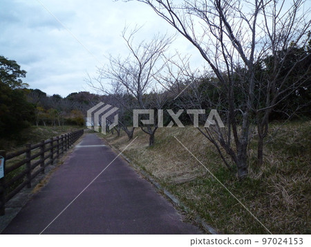 常滑市隆冬的小湧公園 97024153