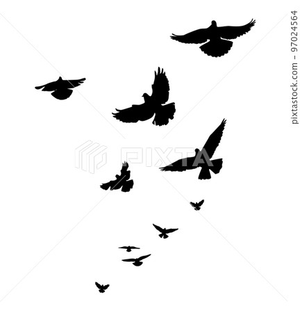 A flock of flying birds. Free birds. Vector illustration 97024564