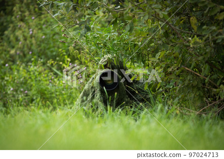 Wildlife photographer with a large lens hiding under a green camouflage netting 97024713