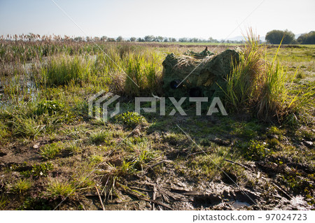 Wildlife photographer hiding in a hide from camouflage netting in summer nature. Wildlife photographer hiding in a hide from camouflage netting in summer nature. 97024723