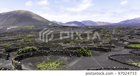 The Wine Valley of La Geria - Lanzarote, Spain The Wine Valley of La Geria - Lanzarote, Spain 97024733