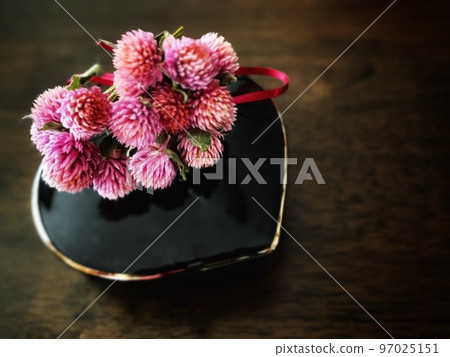 Dry Flower of Sennima 97025151