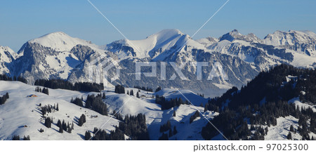Snow covered mountain ranges seen from Horeneggli. Snow covered mountain ranges seen from Horeneggli. 97025300