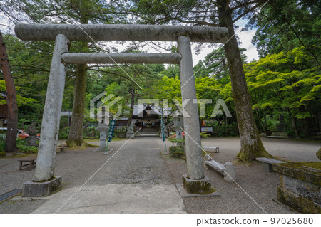 初夏春日山神社的鳥居 97025680