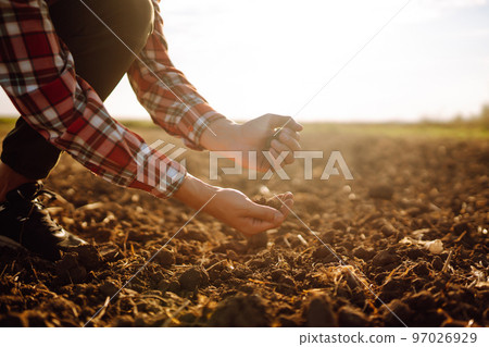Hand of expert farmer collect soil and checking soil health before growth a seed of vegetable. 97026929