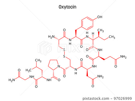 Oxytocin molecular structure. Oxytocin, the hormone of love, produced in the hypothalamus. Important role in reproduction, childbirth and social bonding. Vector structural formula of chemical compound 97026999