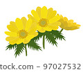 金盞花的插圖 金盞花的插圖 97027532