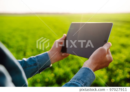 Farmer with a digital tablet in his hands, checks the condition of young wheat in the field. Rich Harvest. Farmer with a digital tablet in his hands, checks the condition of young wheat in the field. Rich Harvest. 97027911