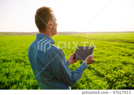 Farmer with a digital tablet in his hands, checks the condition of young wheat in the field. Rich Harvest. 97027913