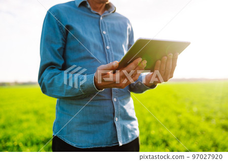 Farmer with a digital tablet in his hands, checks the condition of young wheat in the field. Rich Harvest. Farmer with a digital tablet in his hands, checks the condition of young wheat in the field. Rich Harvest. 97027920