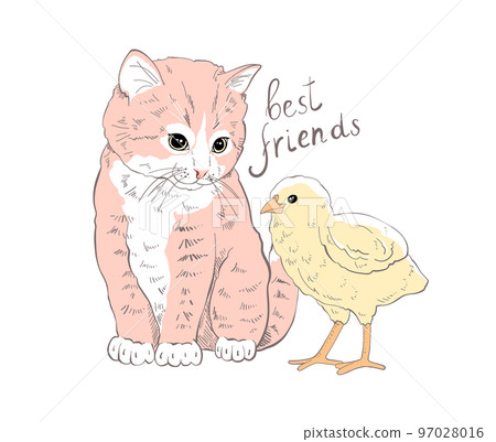 Cute and funny kitten silhouette, looking curiously, sitting with chickens 97028016