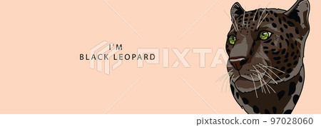 Head of a black leopard to the side on a beige background with the text 97028060