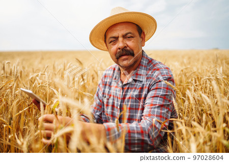 Farmer in the hat checking wheat field progress, holding tablet using internet. Digital agriculture. 97028604