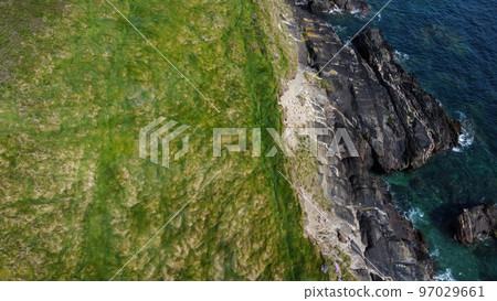 Dense thickets of grass on the shore. Grass-covered rocks on the Atlantic Ocean coast. Nature of Ireland, top view. Dense thickets of grass on the shore. Grass-covered rocks on the Atlantic Ocean coast. Nature of Ireland, top view. 97029661