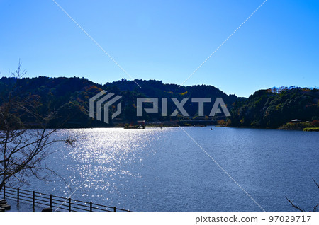 Chiba Prefecture Lake Kameyama in late autumn Chiba Prefecture Lake Kameyama in late autumn 97029717