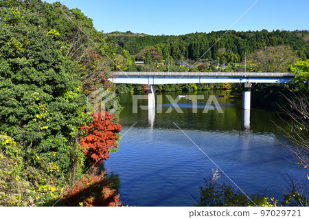 Chiba Prefecture Lake Kameyama in late autumn 97029721