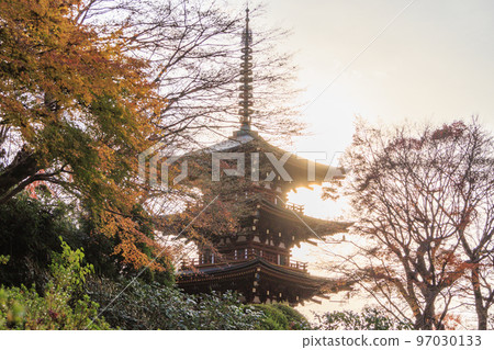 充滿秋色的岡寺三重塔和紅葉手水 97030133