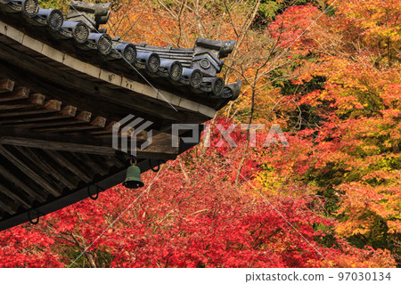 充滿秋色的岡寺三重塔和紅葉手水 充滿秋色的岡寺三重塔和紅葉手水 97030134