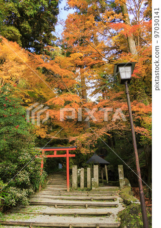 Okadera Mie Tower and Momiji Tesui in full of autumn colors 97030141