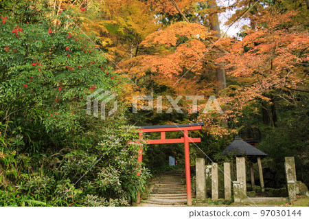 充滿秋色的岡寺三重塔和紅葉手水 97030144