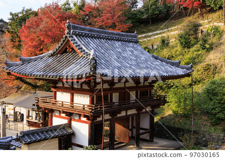 充滿秋色的岡寺三重塔和紅葉手水 97030165