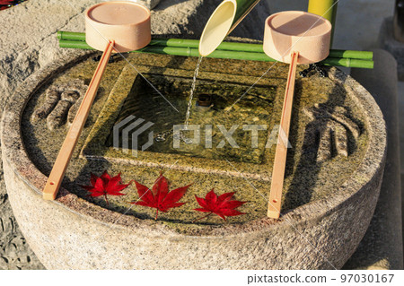 充滿秋色的岡寺三重塔和紅葉手水 97030167