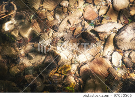 detail of autumn river with fallen leaves detail of autumn river with fallen leaves 97030506