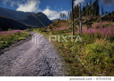 stone path through the autumn foothill landscape stone path through the autumn foothill landscape 97030508
