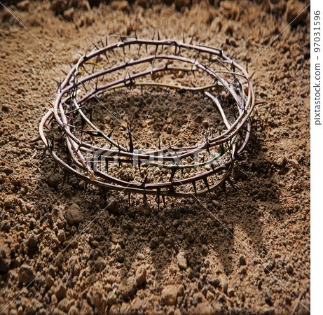 Thorn wreath with crown shadow Thorn wreath with crown shadow 97031596