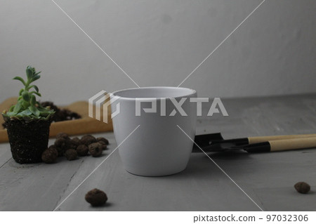 planting and transplanting plants from a pot to a pot. Watering plant care. House plants 97032306