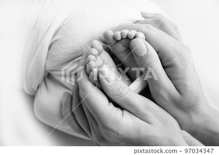 Legs, toes, feet and heels of a newborn. With the hands of parents, father, mother gently holds the child's legs. Macro photography, close-up. Black and white photo. High quality photo Legs, toes, feet and heels of a newborn. With the hands of parents, father, mother gently holds the child's legs. Macro photography, close-up. Black and white photo. High quality photo 97034347