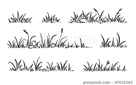 Grass doodle sketch style set. Hand drawn grass field outline scribble background. Sprout, flower, clover elements 97035165