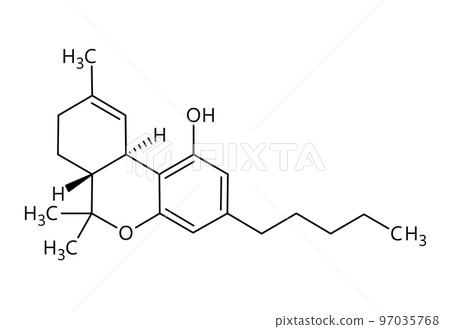 Tetrahydrocannabinol, or THC, molecular structure. Tetrahydrocannabinol is the principal psychoactive drug from cannabis. Vector structural formula of chemical compound with red bonds and black atom 97035768