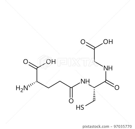 Glutathione molecular structure. Glutathione is an antioxidant in plants, animals, fungi, bacteria and archaea. Vector structural formula of chemical compound with red bonds and black atom labels. 97035770