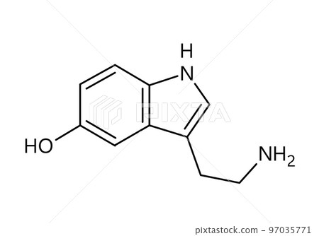 Serotonin molecular structure. Serotonin is monoamine neurotransmitter modulating mood, cognition, reward, learning, memory and other functions. Vector structural formula of chemical compound with red 97035771