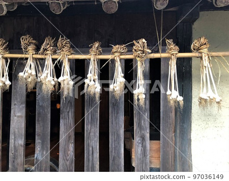 東北老房子屋簷下掛著一捆大蒜 97036149