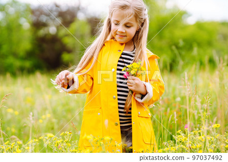 Cute little girl picking wildflowers in the meadow. A child explore nature. Cute little girl picking wildflowers in the meadow. A child explore nature. 97037492
