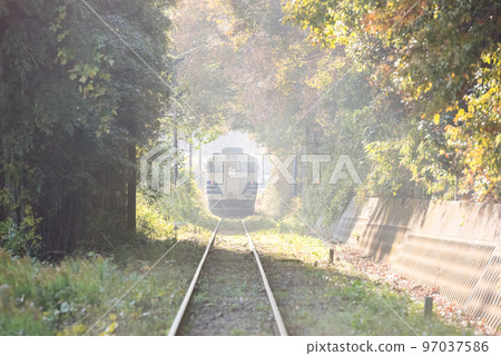 [北條鐵道]穿過森林隧道的火車 97037586